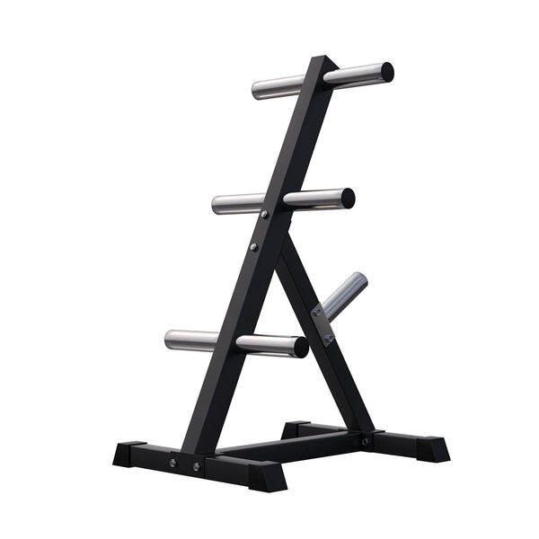 Suporte para placa de pesos com 4 barras 50/51 mm