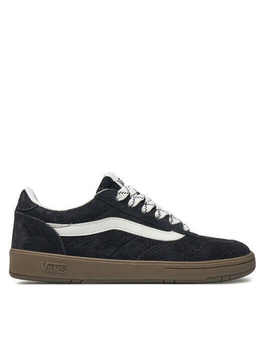 VANS picture