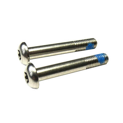 Sram roestvrijstalen torx t25 (5 mm) voor flat mount remklauw/adapter