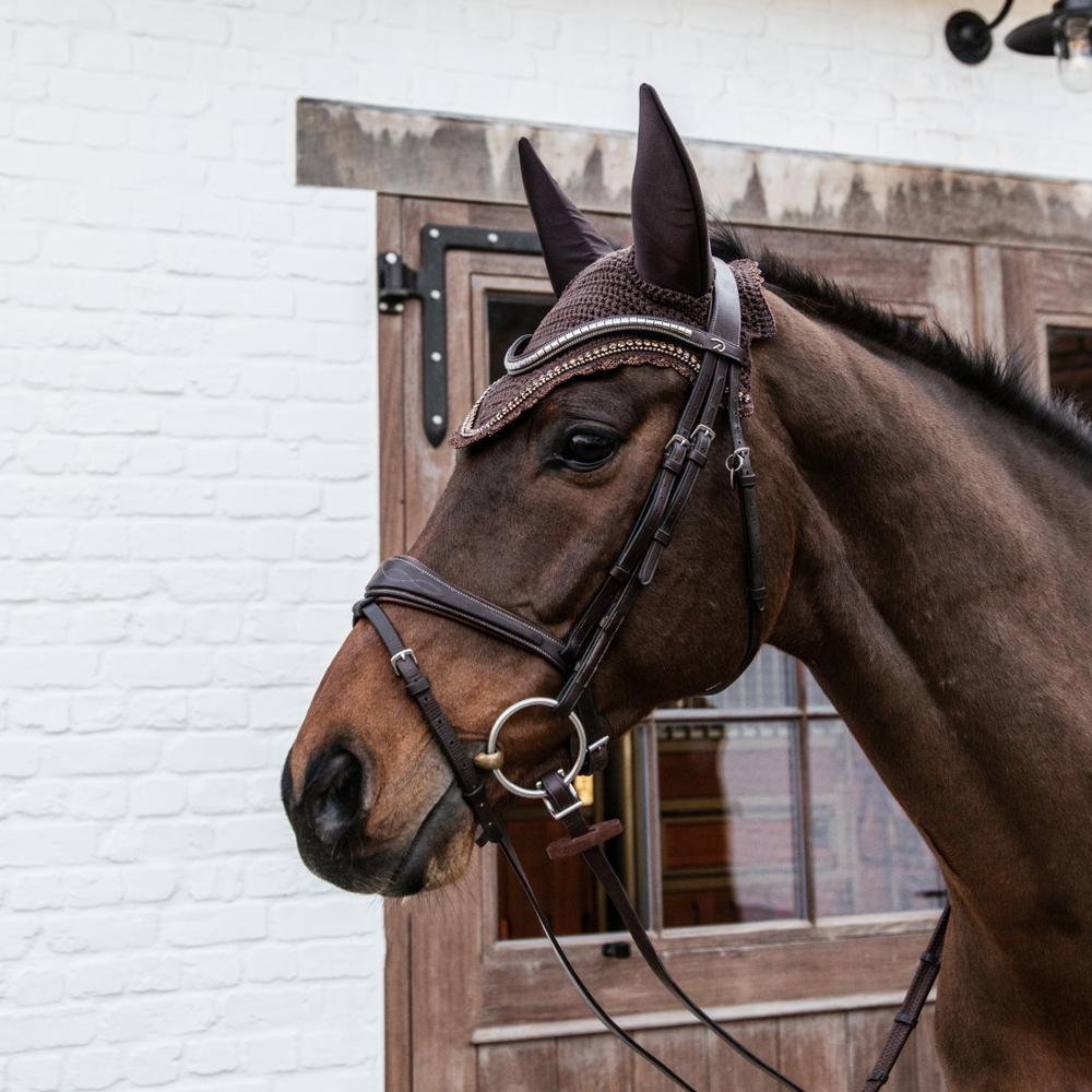 CENTROPIX, WELZIJN VOOR MENS EN PAARD - Gezond Gilze