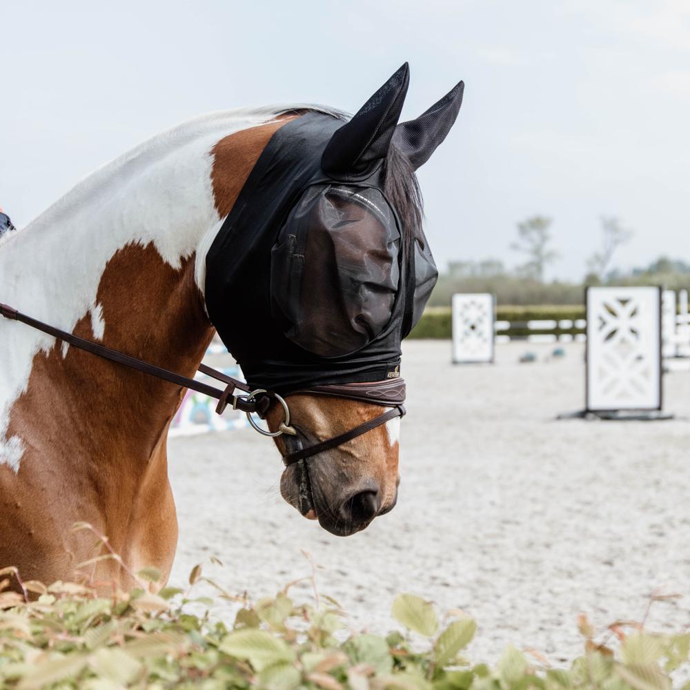 Shires Masque Anti-Mouches avec Dcoupe D'oreille et Rabat de Nez Noir