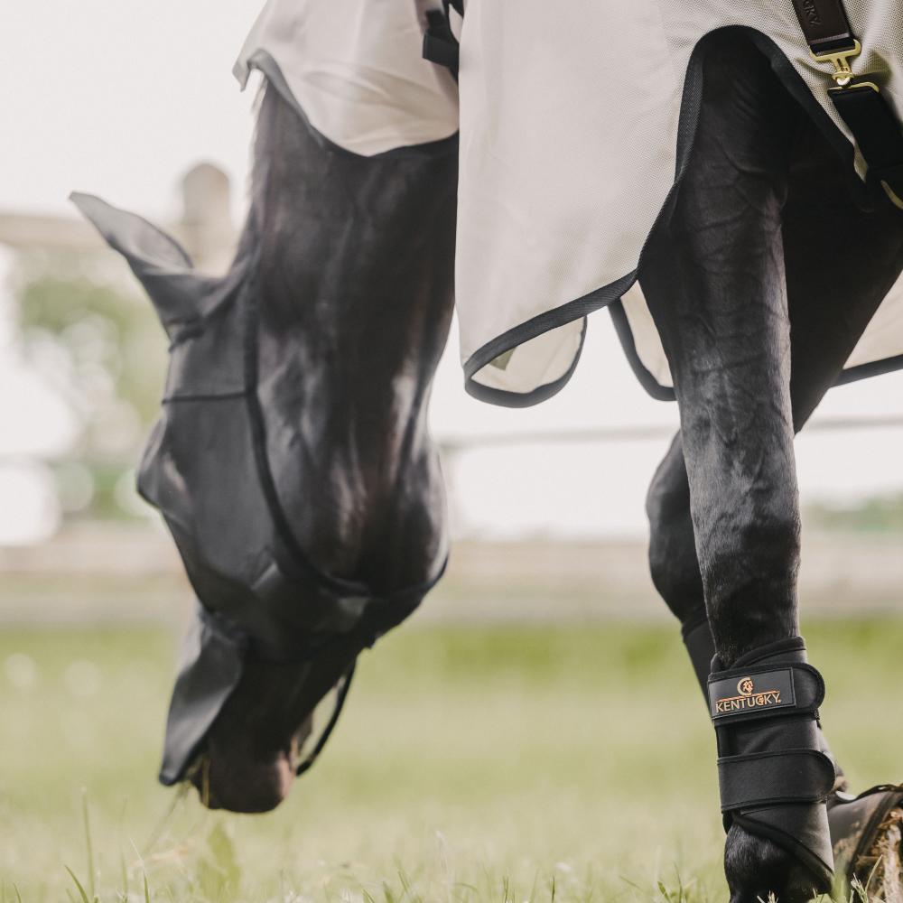 Máscara anti-moscas para caballos con orejas y bozal anti-uv Kentucky Classic 5/5