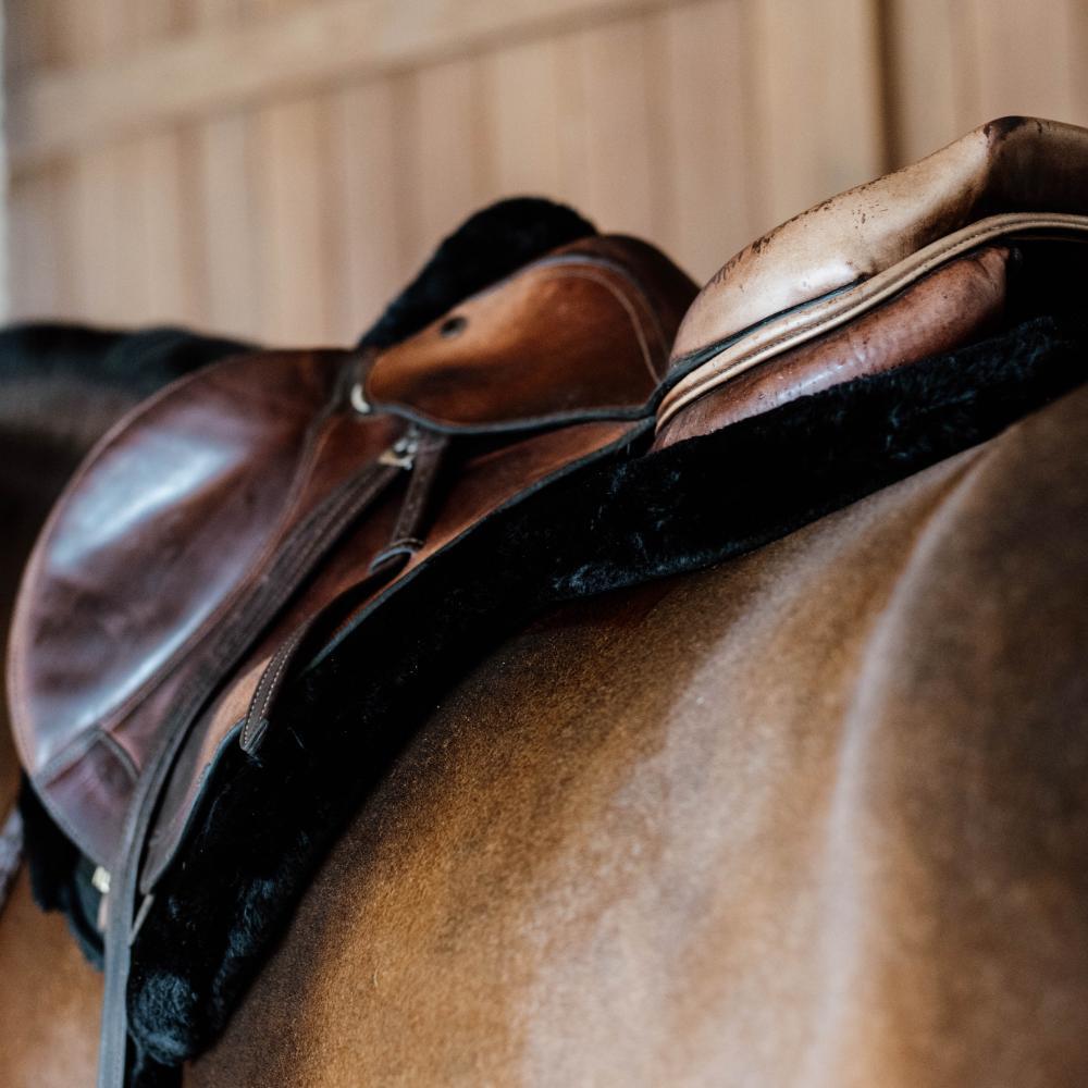 Tapis de selle Hunter vegan mouton jumping noir 4/6