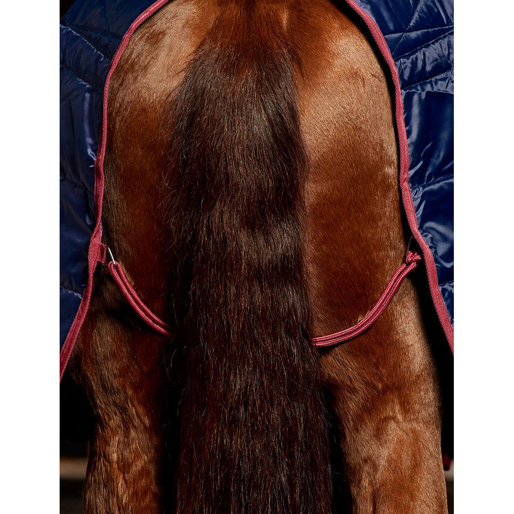 Couverture d'extérieur pour cheval Weatherbeeta Comfitec 210D Standard 100g 3/4