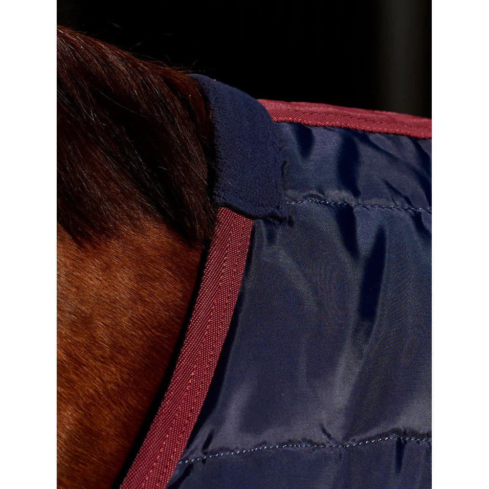 Couverture d'extérieur pour cheval Weatherbeeta Comfitec 210D Standard 100g 2/4