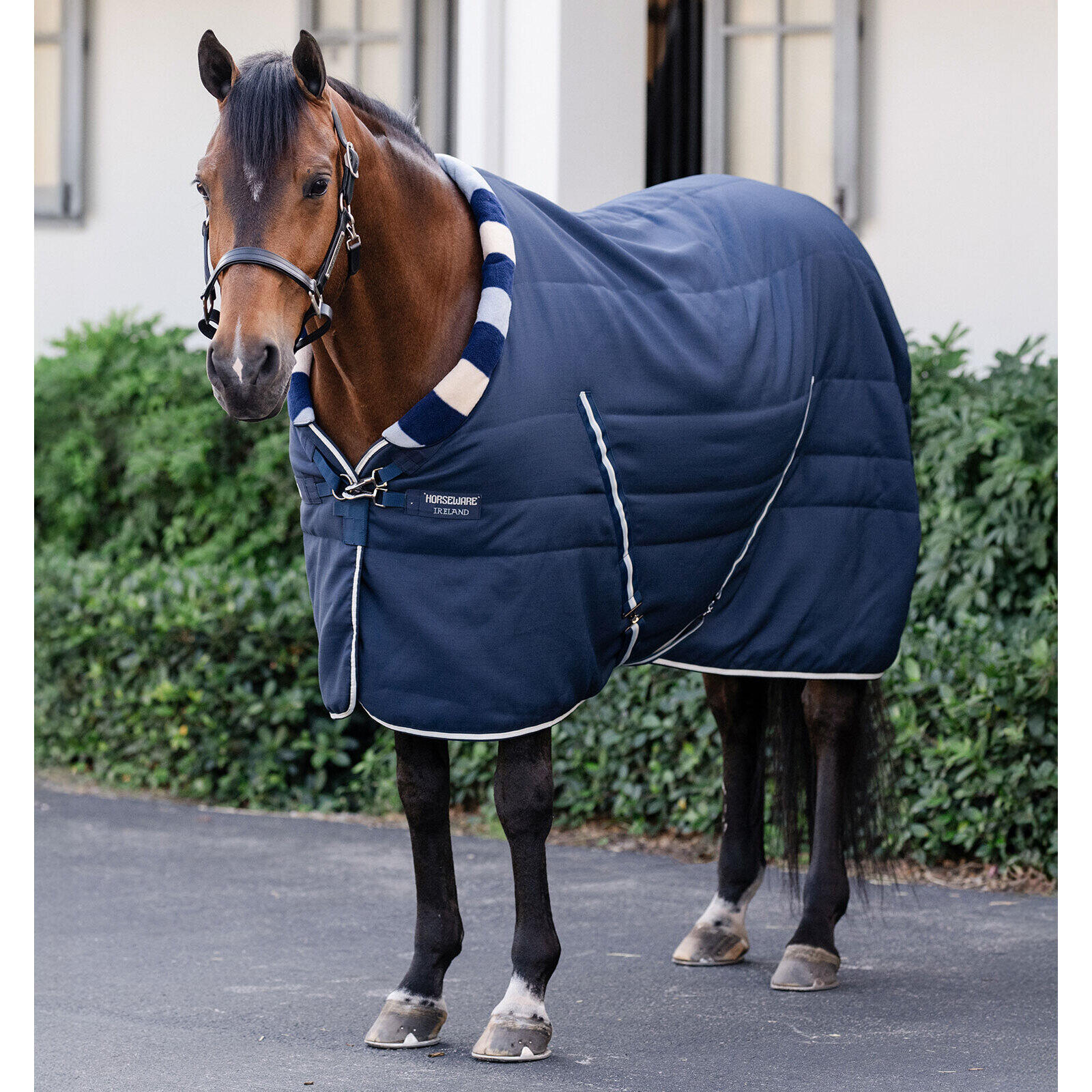 HORSEWARE IRELAND picture