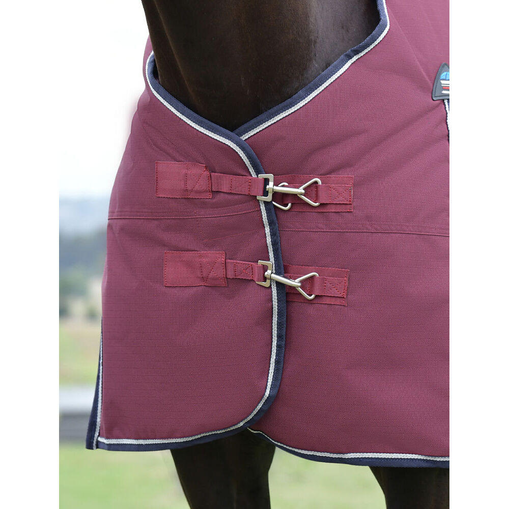 Manta de exterior para caballos Weatherbeeta Comfitec Essential 220g 3/5