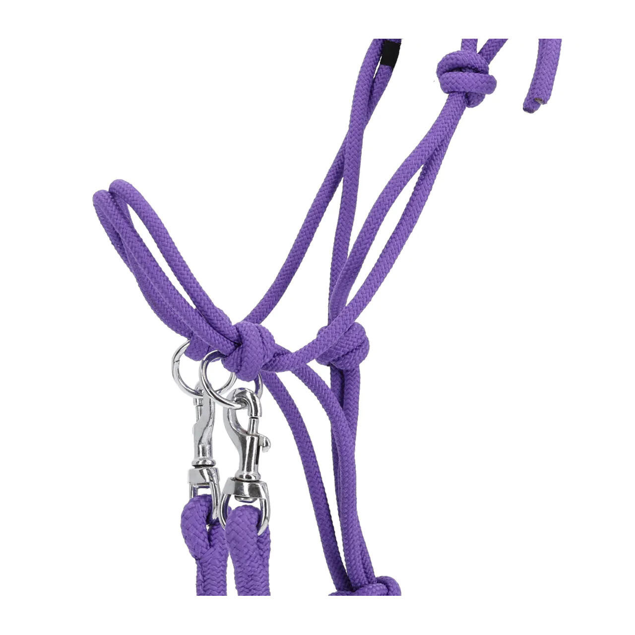 Licol en corde avec rênes Q-essentials Color 3/3