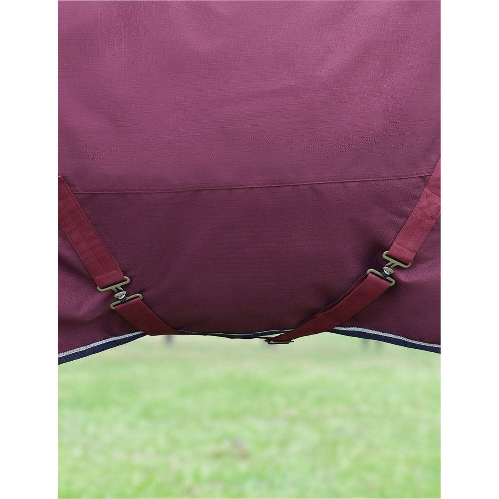 Manta de exterior para caballos Weatherbeeta Comfitec Essential 220g 2/5