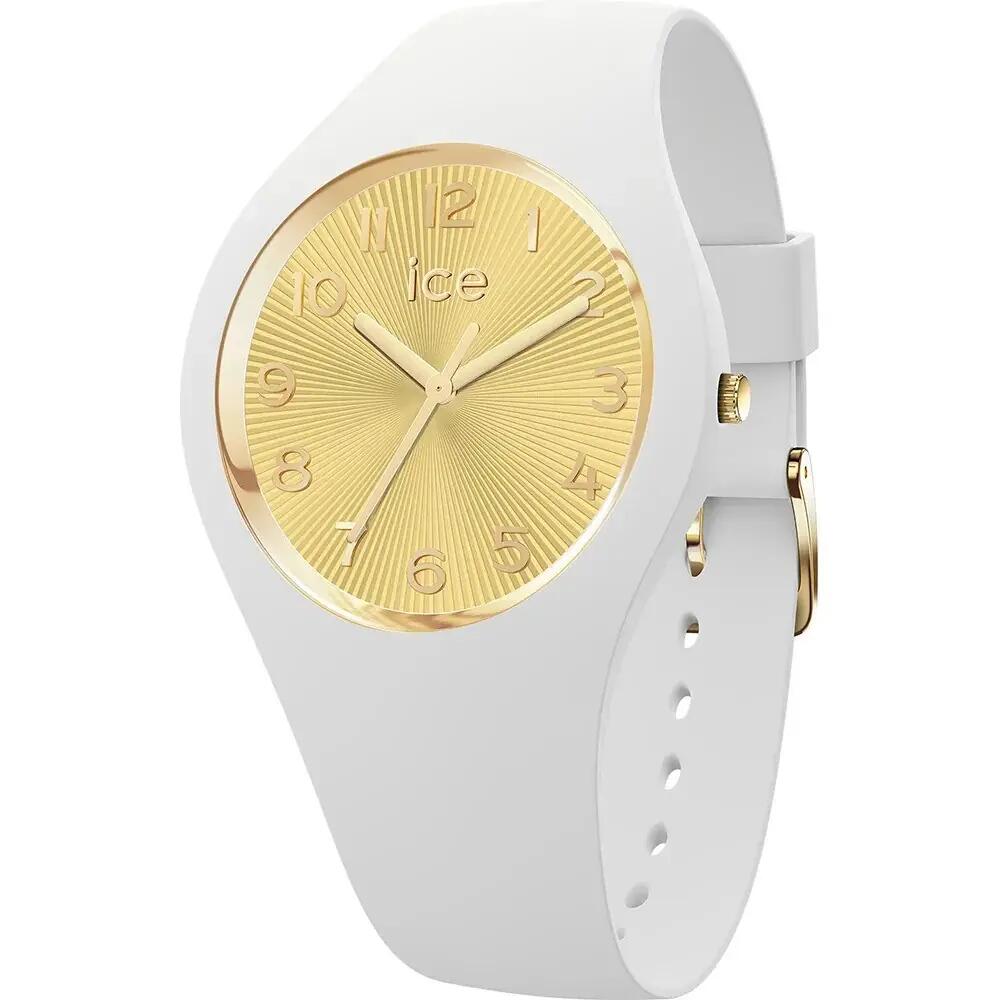 ICE WATCH picture