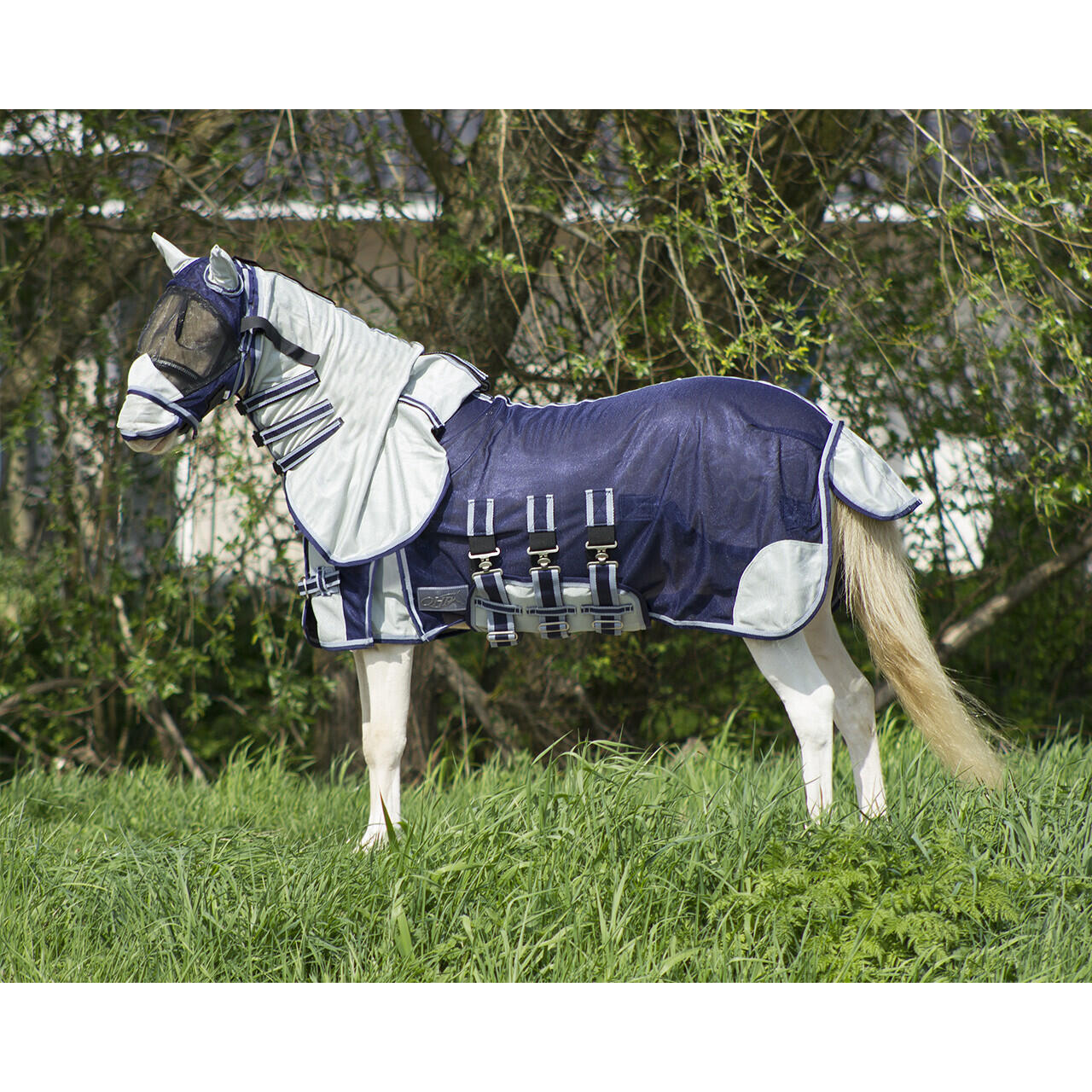 Qhp - Couverture Anti-mouches Pour Cheval Qhp Falabella - Couverture Cheval - Bleu - 80 Cm - Decathlon