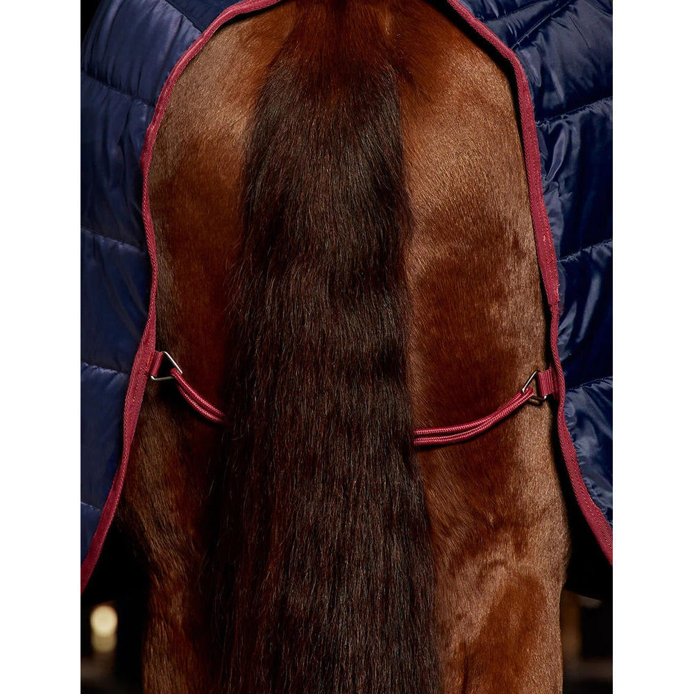 Couverture d'extérieur pour cheval Weatherbeeta Comfitec 210D 100g 3/5