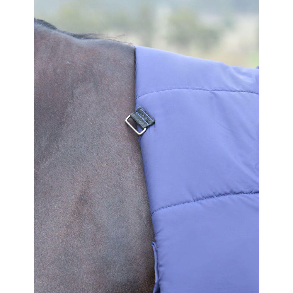 Manta de exterior para caballos Weatherbeeta Comfitec Essential Combo 50g 4/5