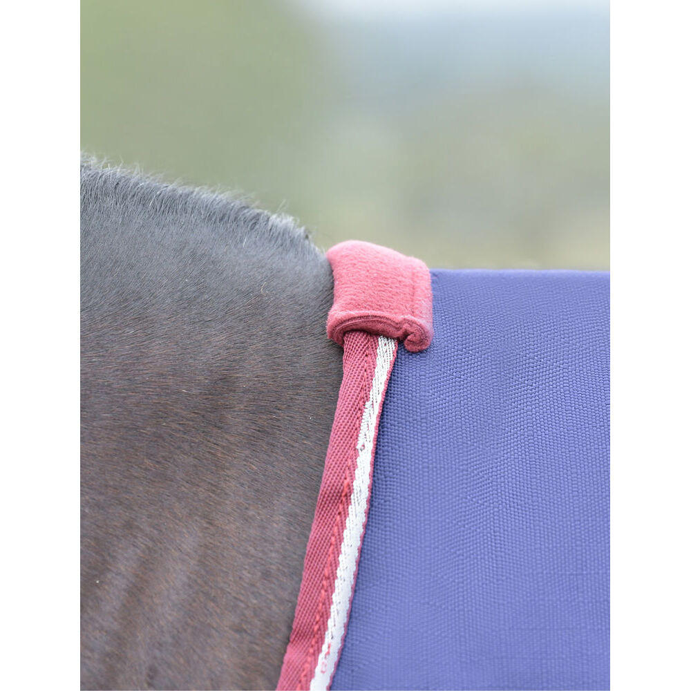 Manta de exterior para caballos Weatherbeeta Comfitec Essential 50g 5/5