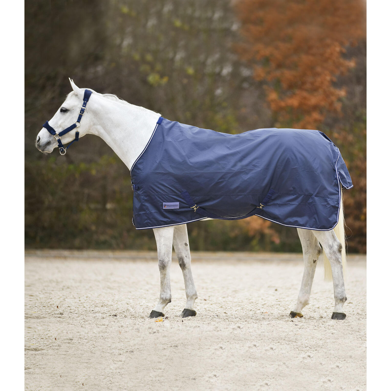Couverture d'extérieur pour cheval avec couvre-cou détachable Weatherbeeta Saxon WEATHERBEETA