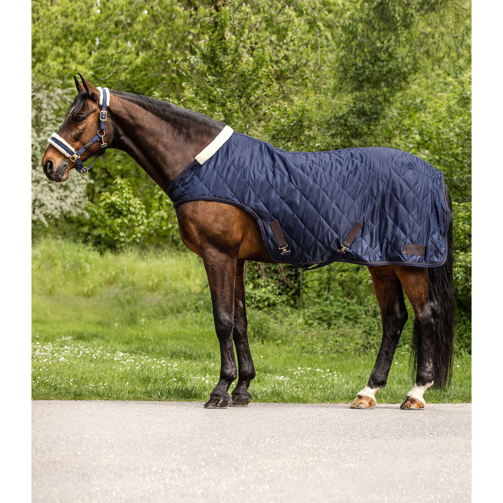 Manta de paseo para caballos Waldhausen Exclusive 2/7