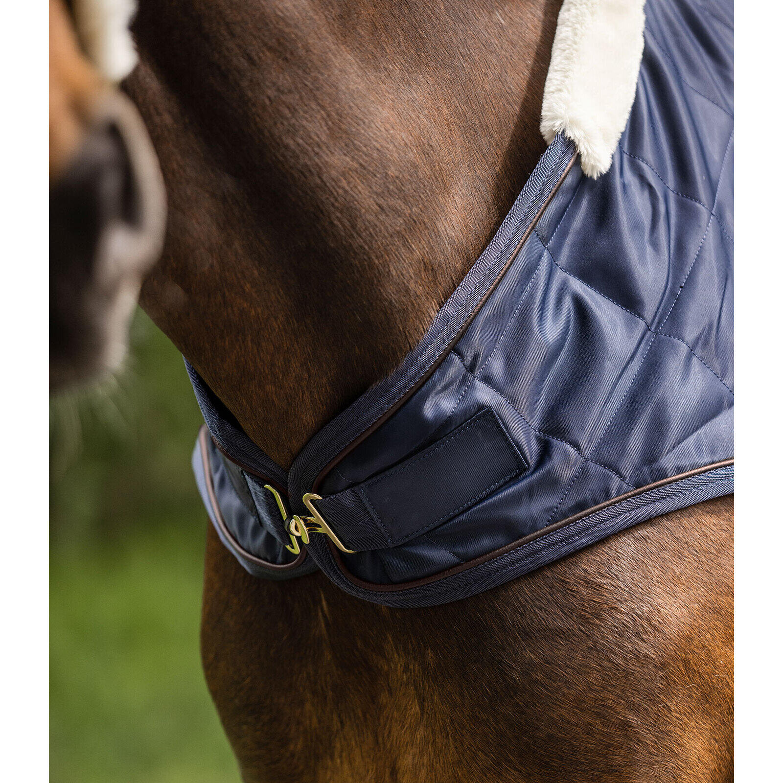 Manta de paseo para caballos Waldhausen Exclusive 7/7