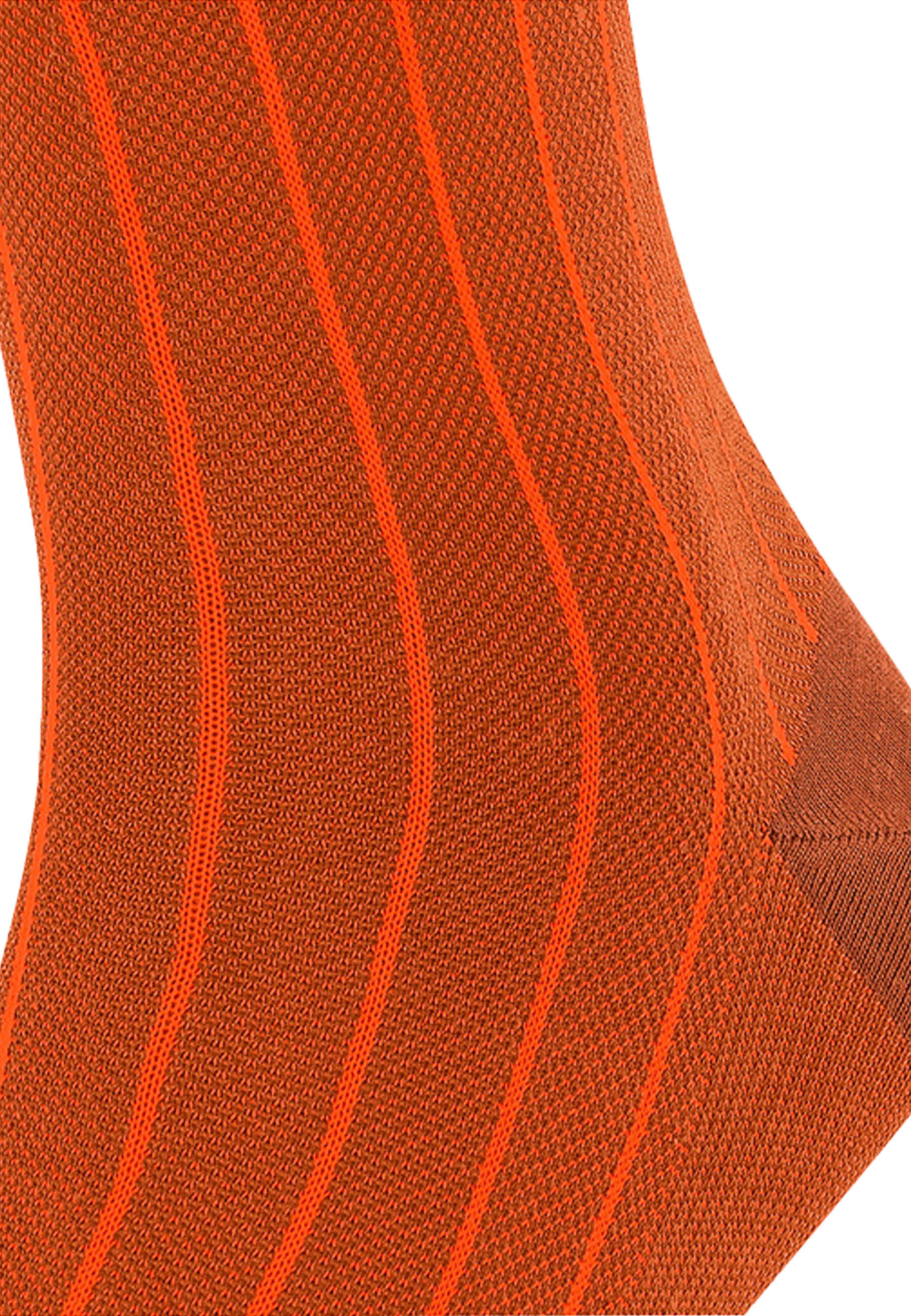 Oxford Neon 5/5