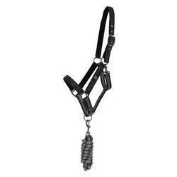 Ensemble licol et longe QHP