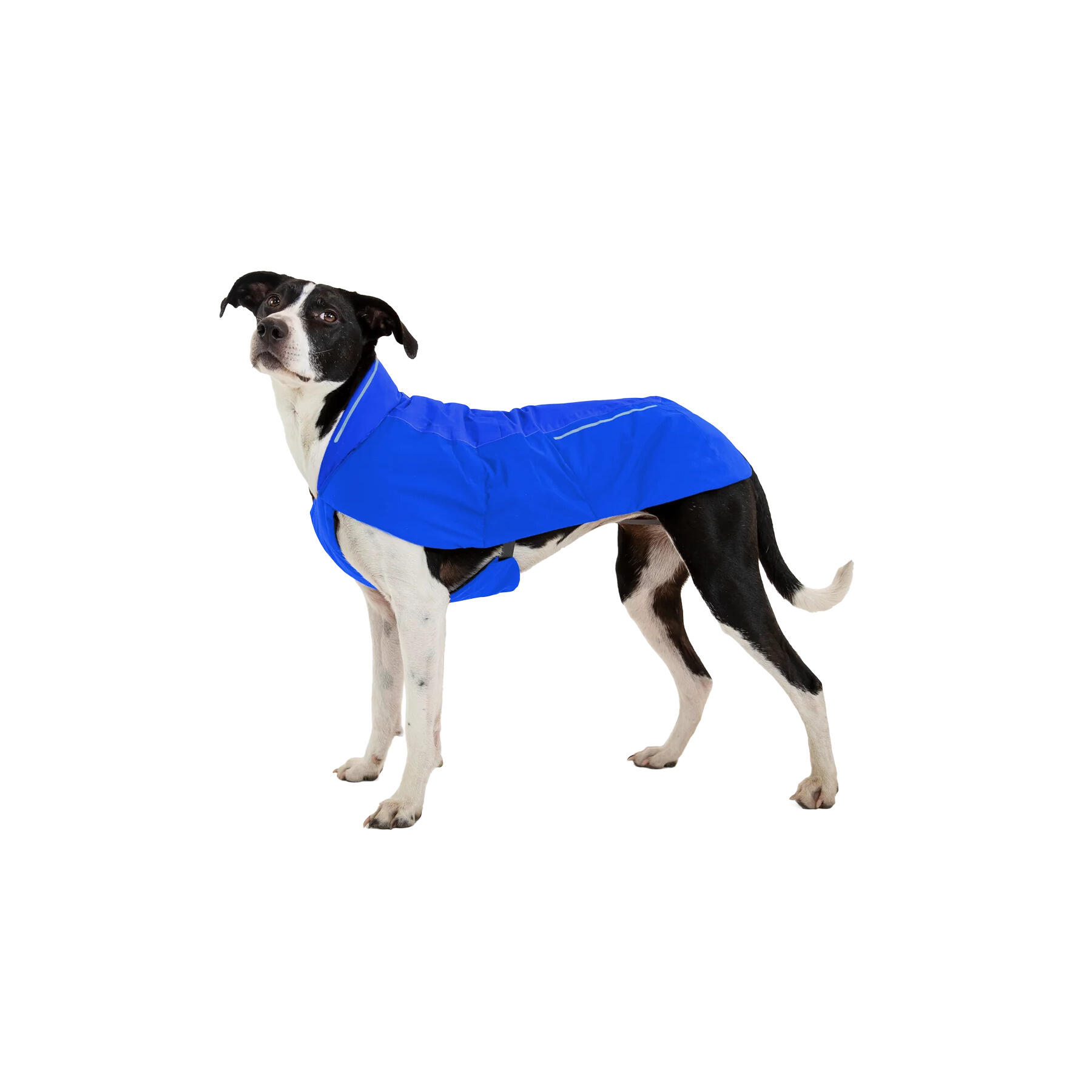 Regenmantel für Hunde Ruffwear Vert 3/3