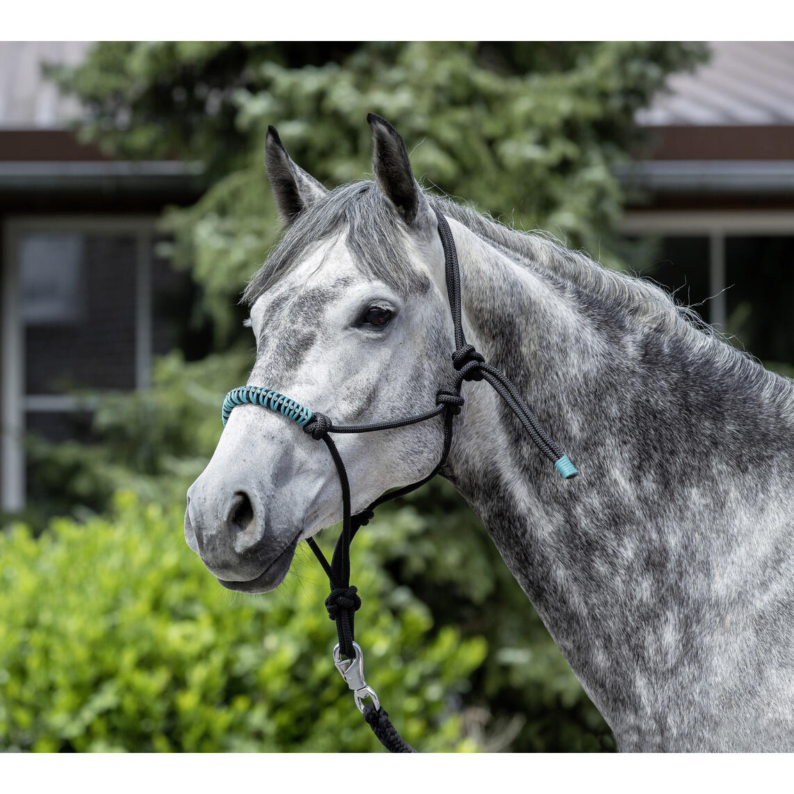 Licol en corde nouée pour cheval USG 4/4