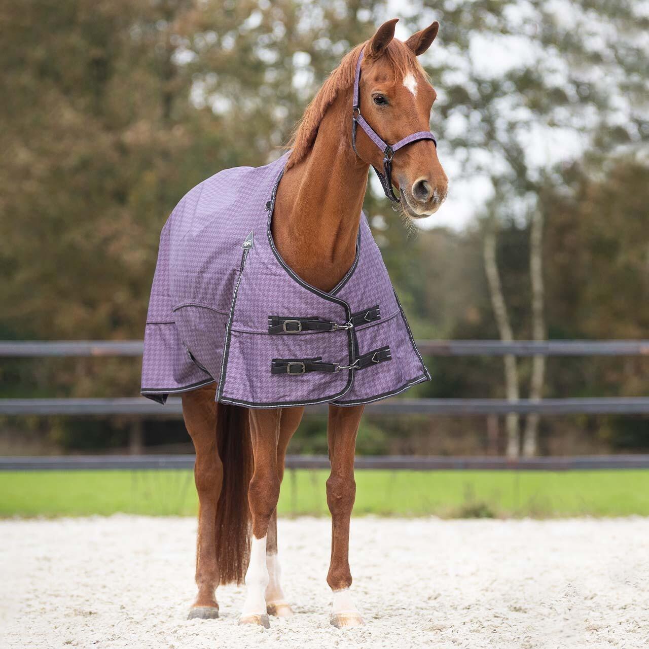 Couverture pour cheval QHP Amethyst 150g 2/2