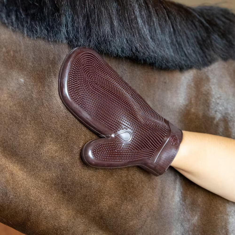 Gants de pansage en caoutchouc Grooming Deluxe 3/3