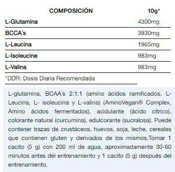 Bcaa + Glutamine - 500g Orange de Quamtrax 3/4