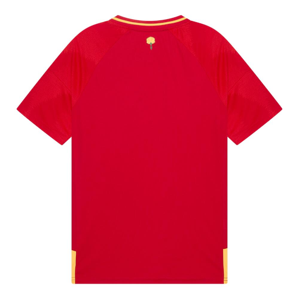 Spanje Voetbalshirt Heren 3/7
