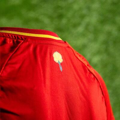 Maillot de football Espagne Hommes