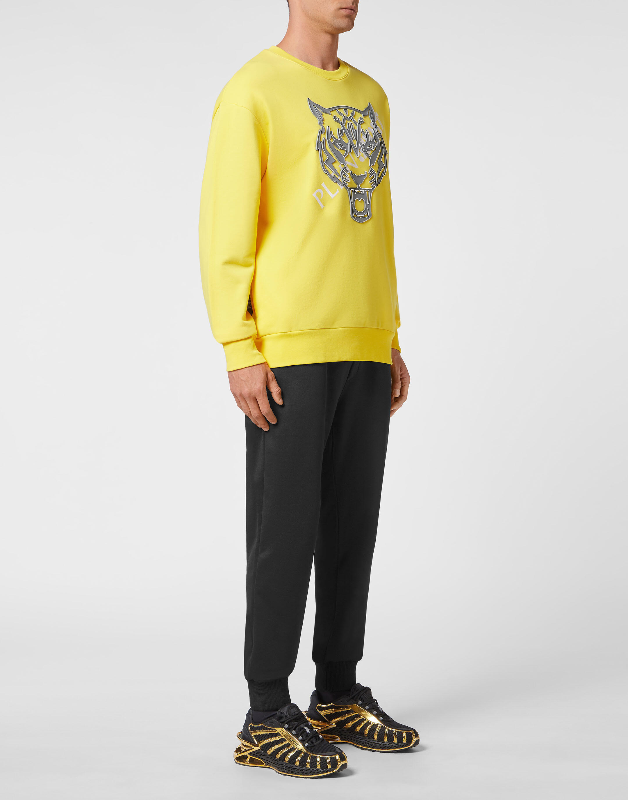 Sweatshirt TIGER 2/5