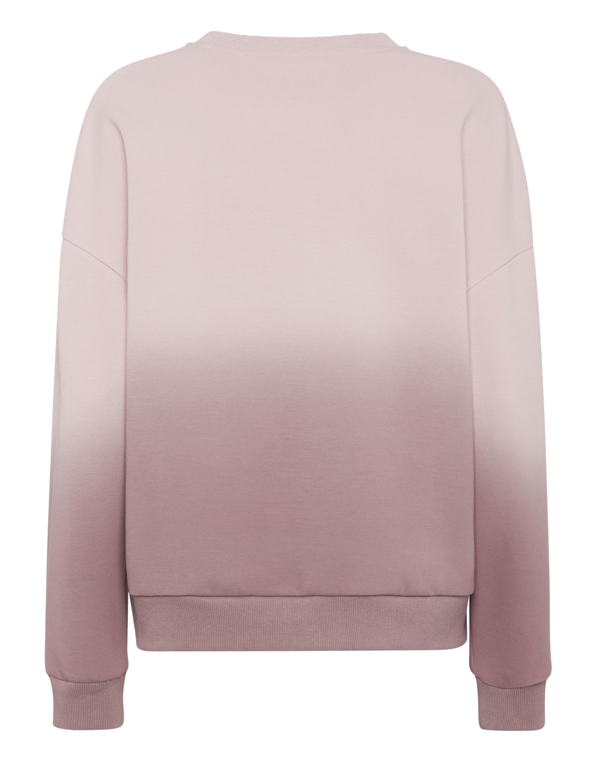 Sweat À Capuche DEGRADE 2/3