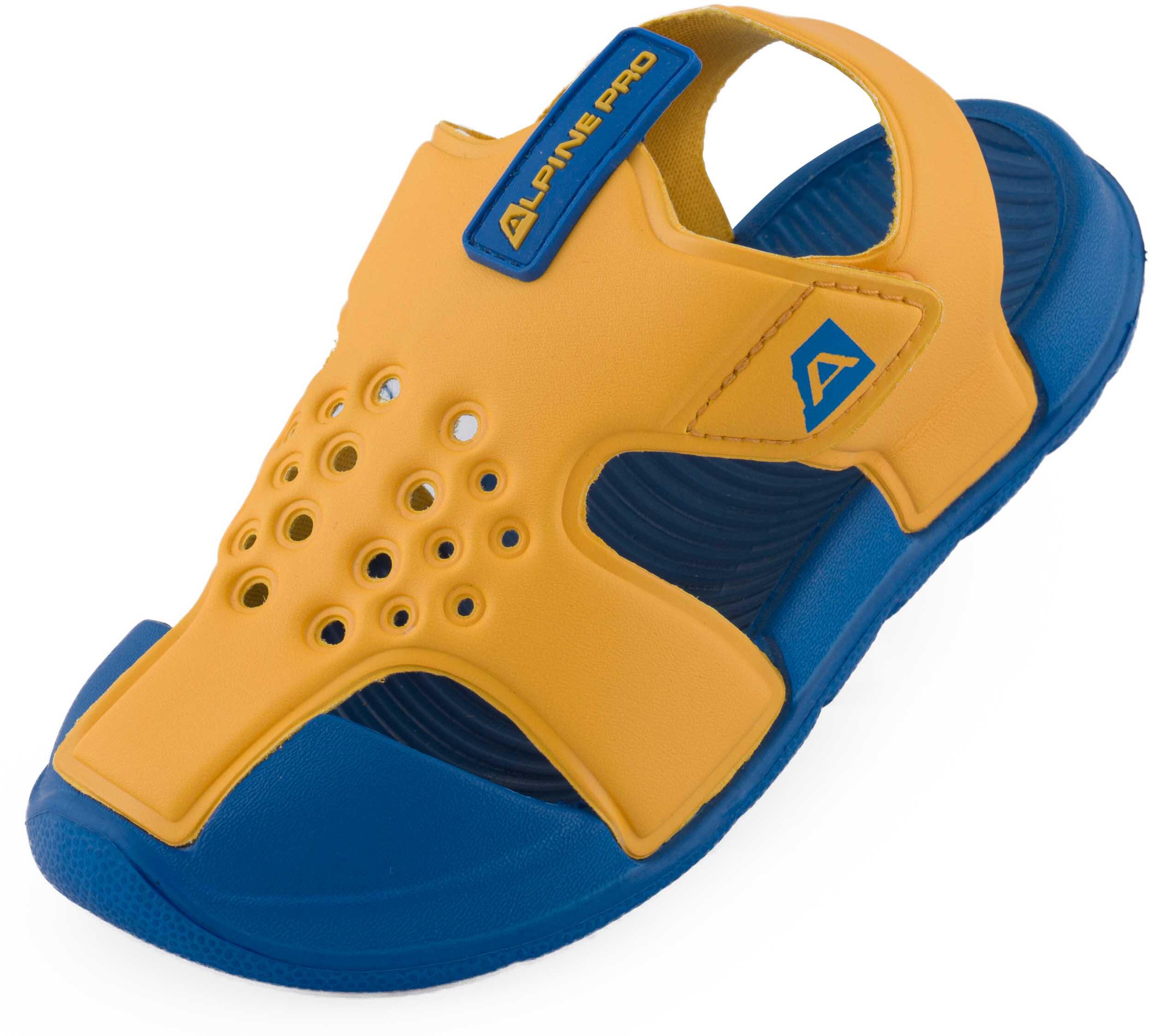 ALPINE PRO picture