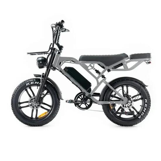 V20 Pro Fatbike - Maintenant avec NFC + Siège arrière, Porte-bagages avant