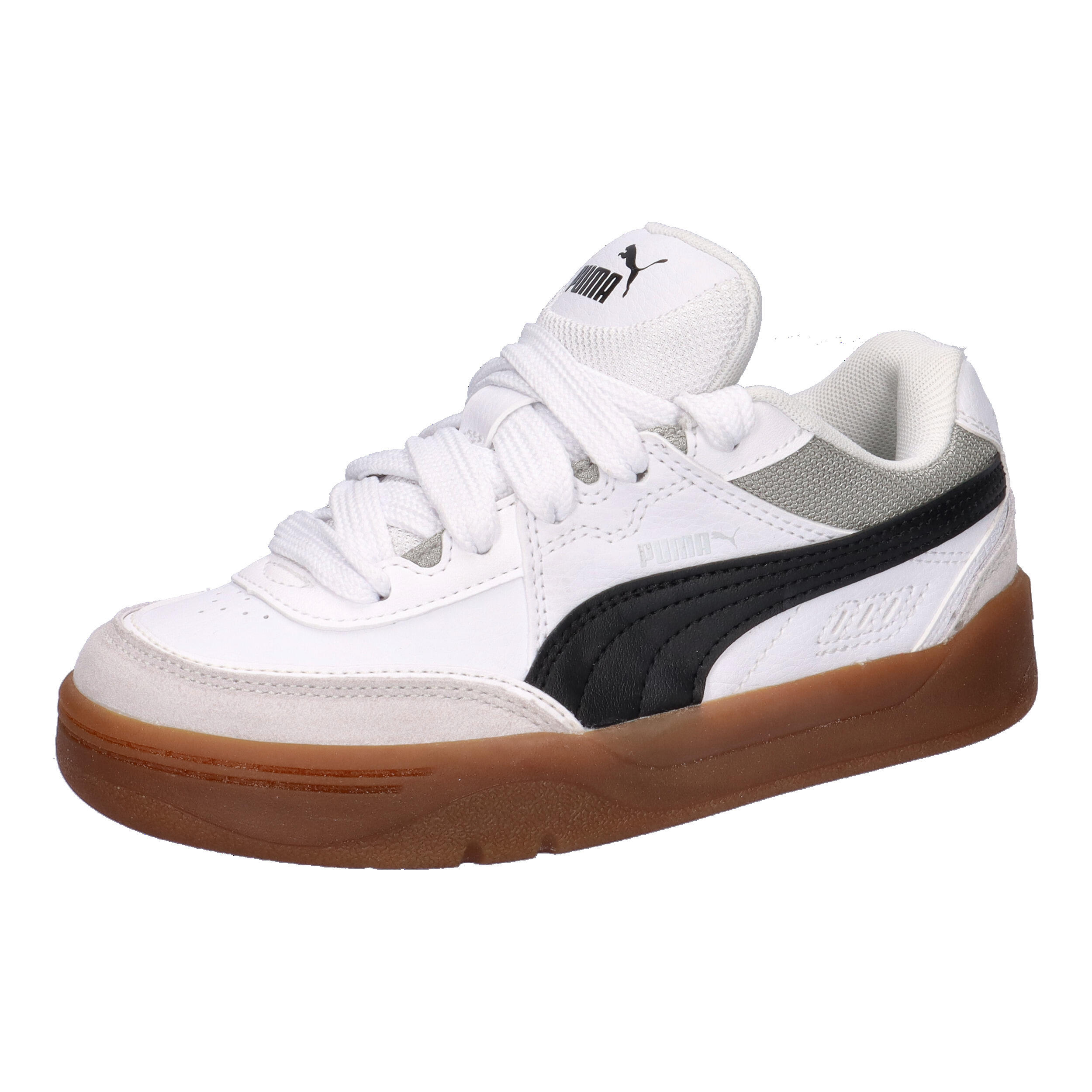 PUMA picture