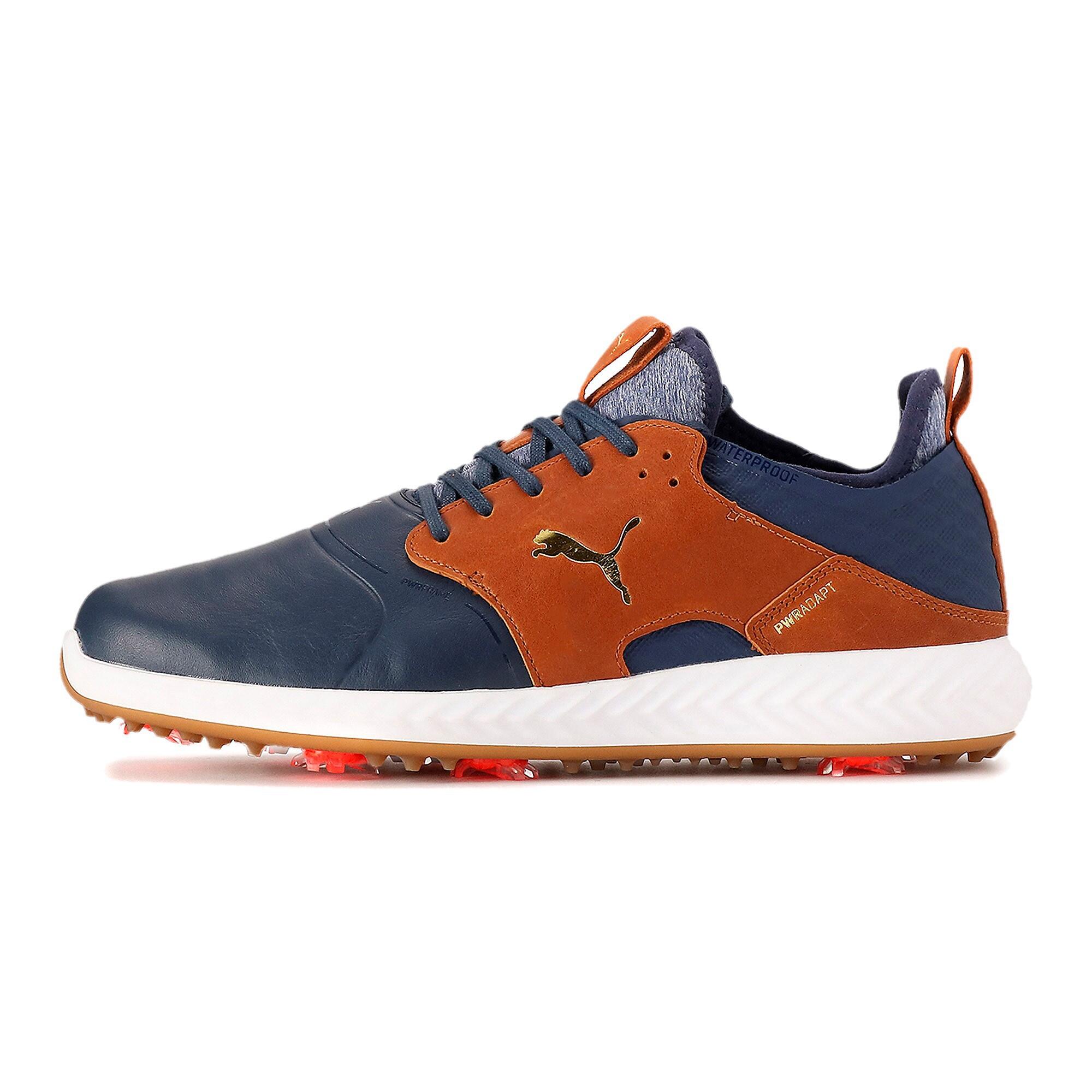 PUMA picture