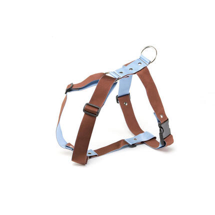 Hundegeschirr Martin Sellier L