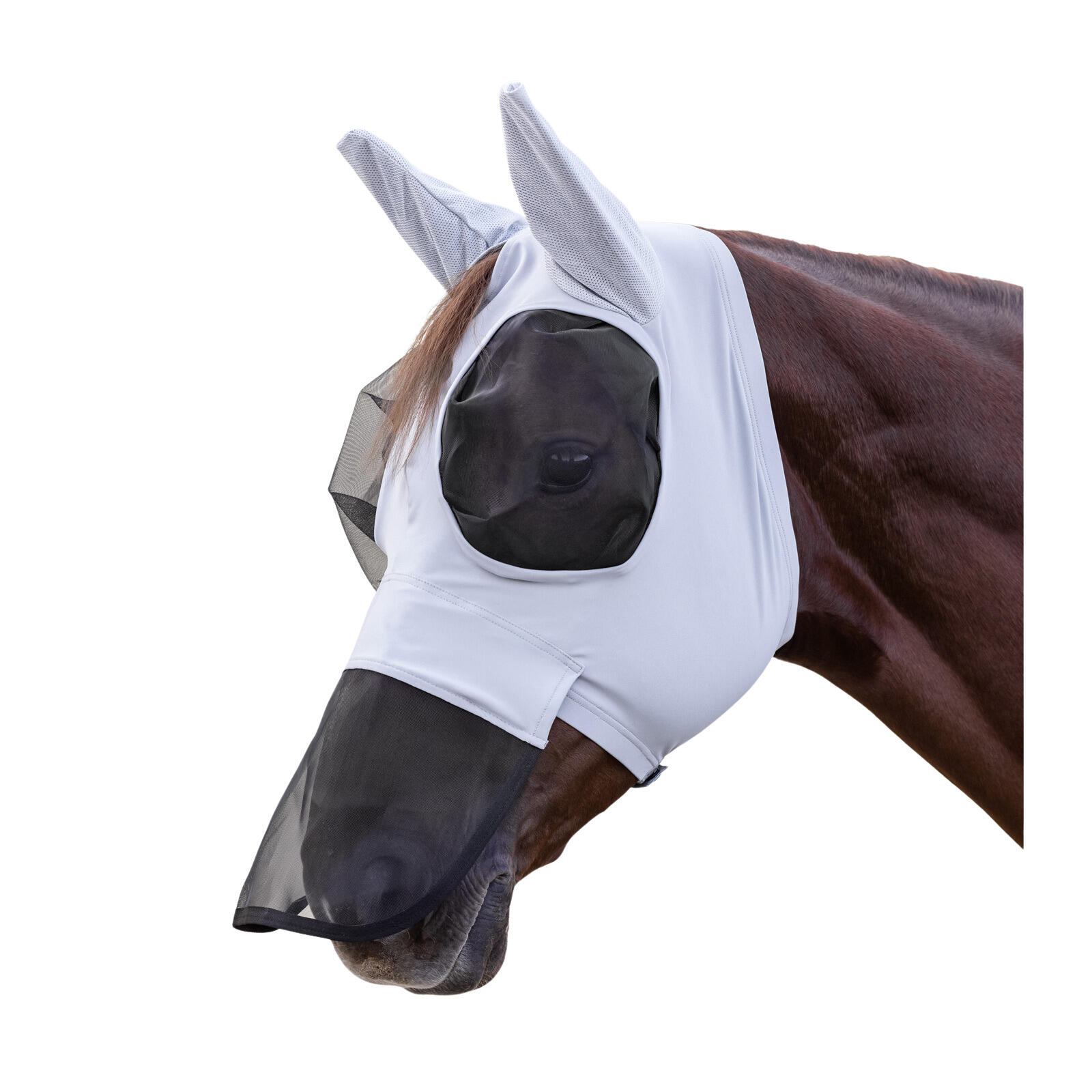 Waldhausen - Masque Anti-mouches Pour Cheval Avec Protection Nasale Waldhausen Puck - Masque Anti Mouche - Gris - Xfs - Decathlon