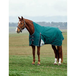 Couverture d'extérieur pour cheval col haut Weatherbeeta Comfitec Plus Dynamic 1