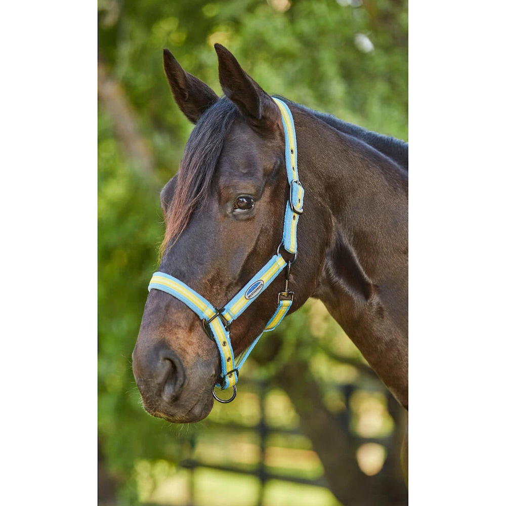 Wyściełany nylonowy kantar dla koni Weatherbeeta