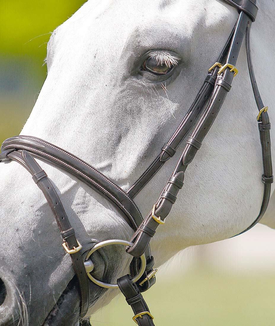 Poggiatesta, browband-licol, bianco Tattini 3/3