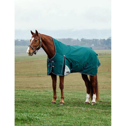 Couverture d'extérieur pour cheval col haut Weatherbeeta Comfitec Plus Dynamic 2