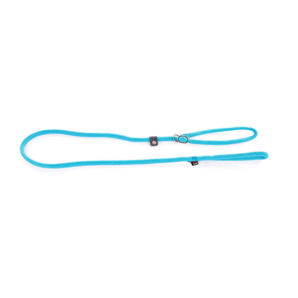 Classic nylon training dog lead Martin Sellier