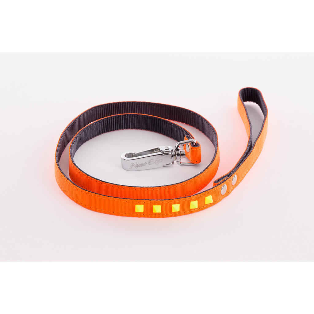 Fluorescent dog leash Martin Sellier