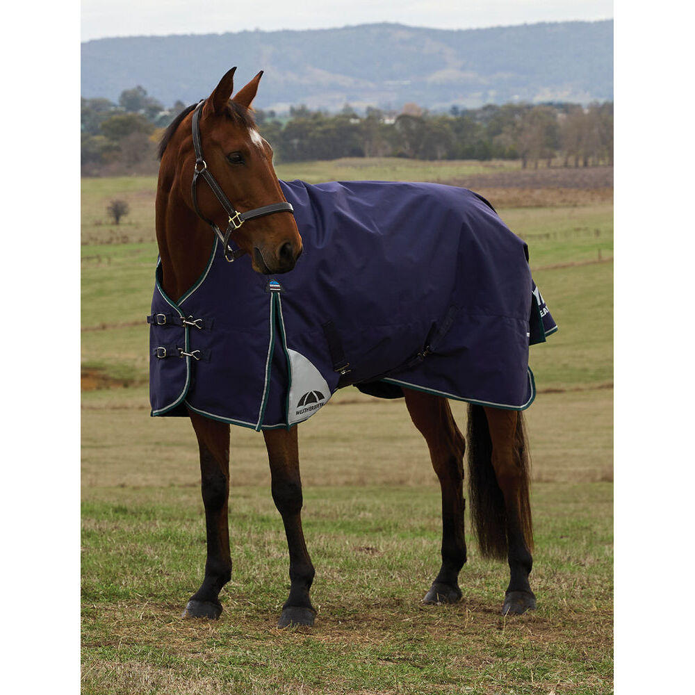 Manta para caballos de cuello alto Weatherbeeta Comfitec Plus Dynamic 100g 2/5