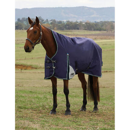 Couverture d'extérieur pour cheval col haut Weatherbeeta Comfitec Plus Dynamic 1
