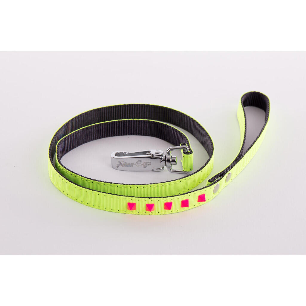 Fluorescent dog leash Martin Sellier