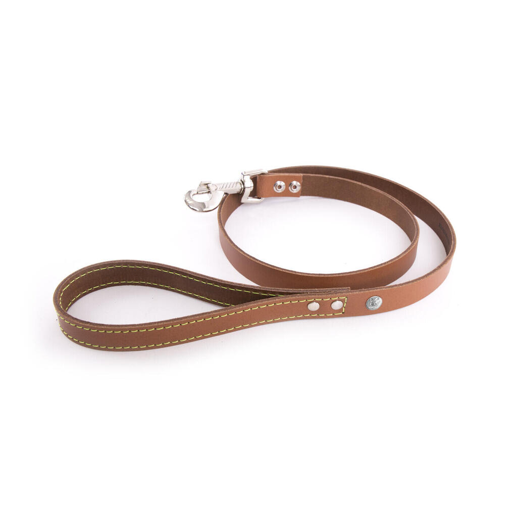 Dog leash Martin Sellier Flash