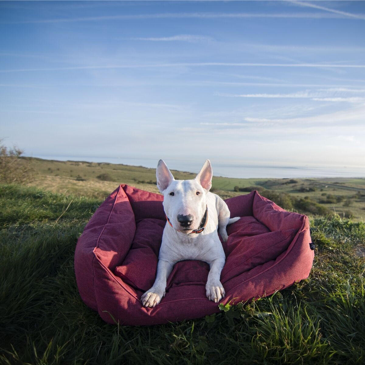 Panier pour chien croisette Martin Sellier Domino 2/2