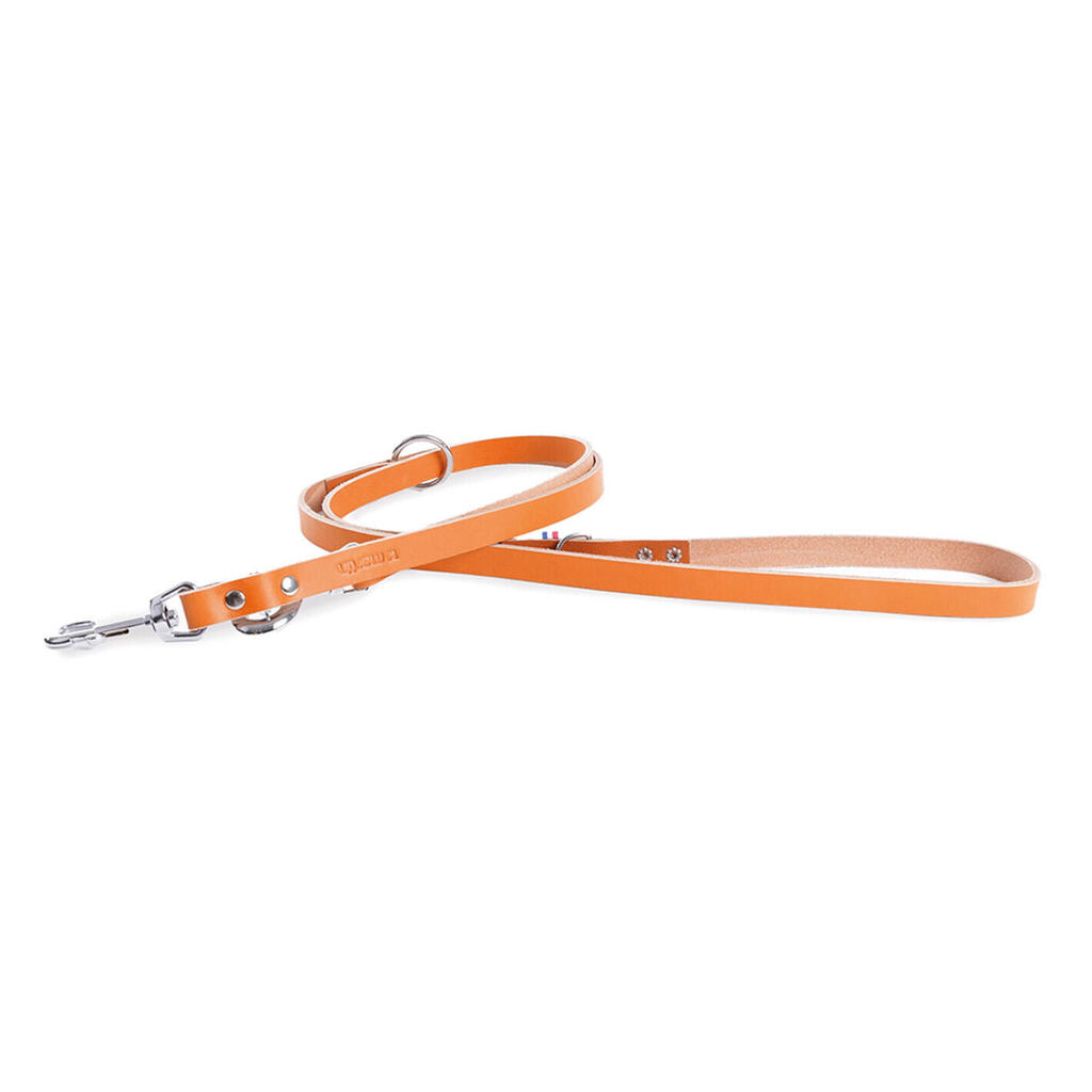 Multicoloured leather dog leash Martin Sellier 499